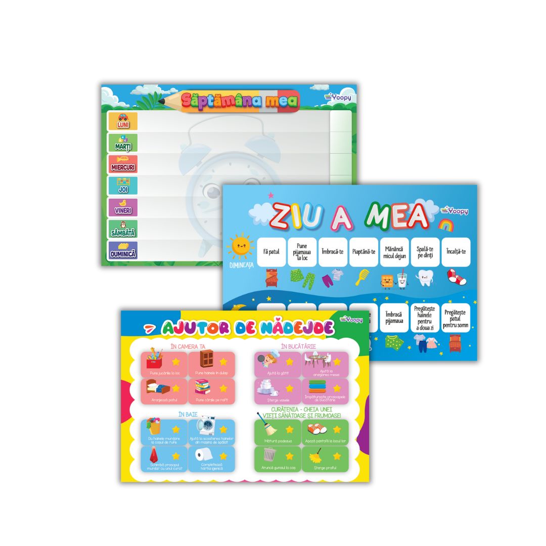 Organizator magnetic -  Ziua mea